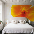 Wonderful Wildflowers V Mural Wallpaper - room preview 03