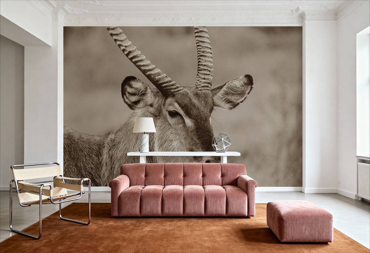 Waterbuck Portrait Sepia Mural Wallpaper - room preview 03