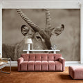 Waterbuck Portrait Sepia Mural Wallpaper - room preview 03