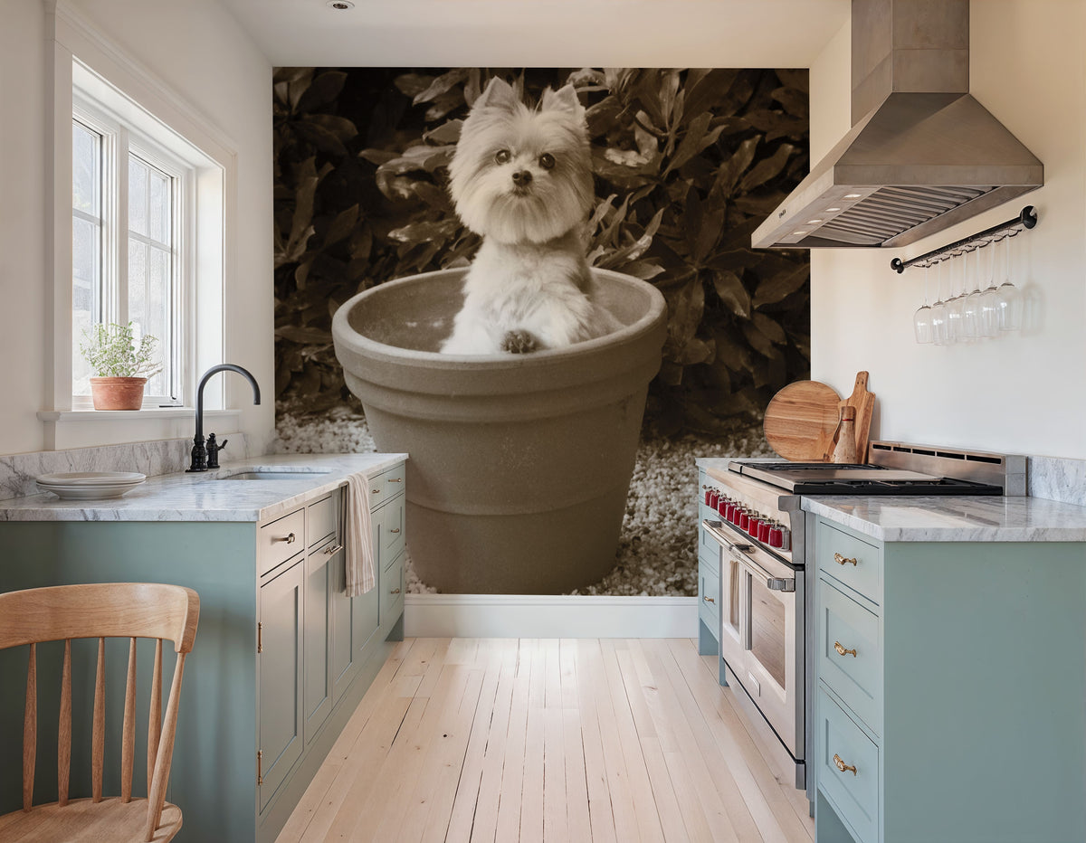 In the Garden Hello Mural Wallpaper - room preview 03