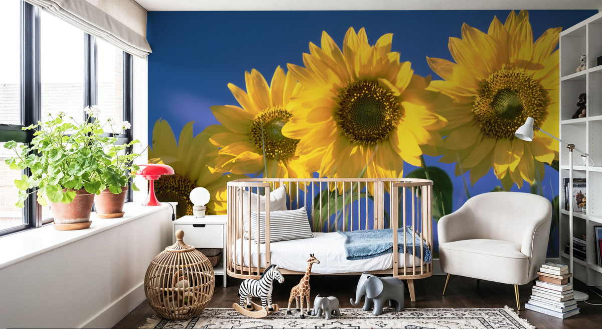 Sunflower Sky Mural Wallpaper - room preview 03