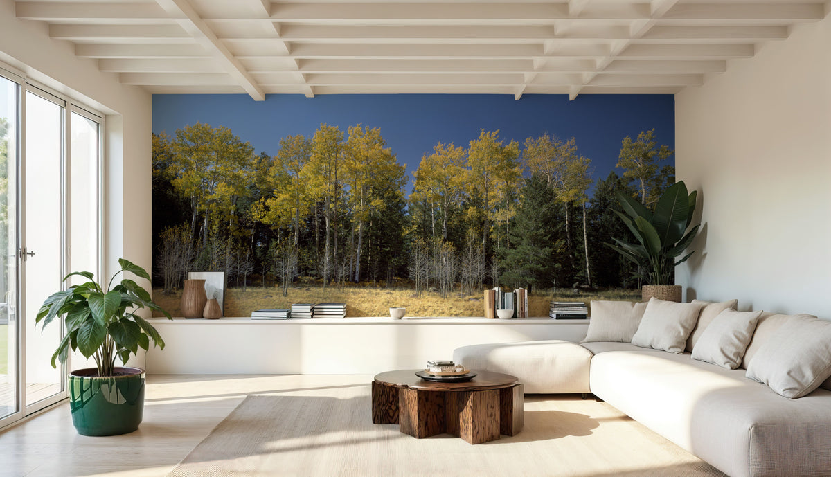 Autumn Forest Glow Mural Wallpaper - room preview 03