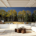 Autumn Forest Glow Mural Wallpaper - room preview 03