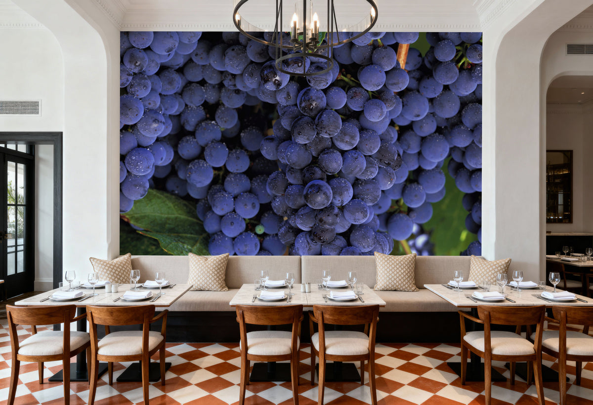 Grapes and Grapes Mural Wallpaper - room preview 03