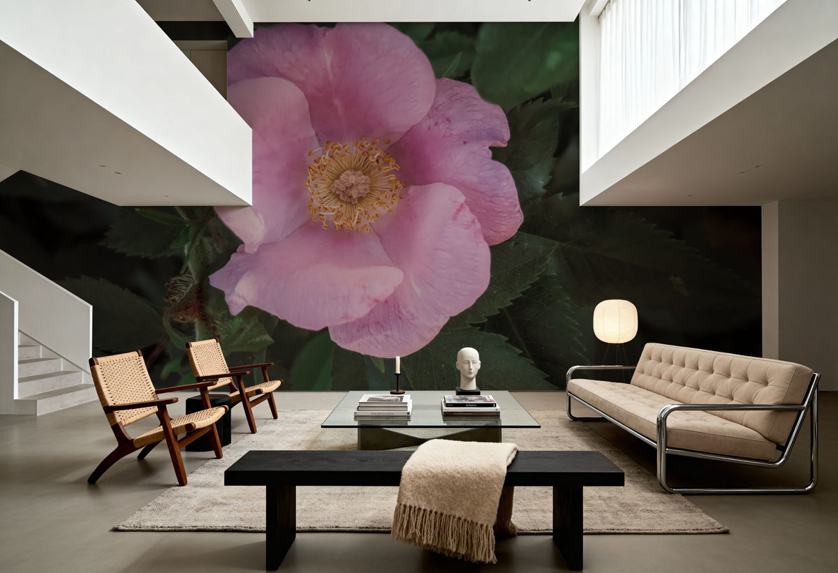 Wild Rose VII Mural Wallpaper - room preview 03