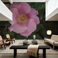 Wild Rose VII Mural Wallpaper - room preview 03