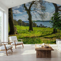 Framed Meadow Mural Wallpaper - room preview 03