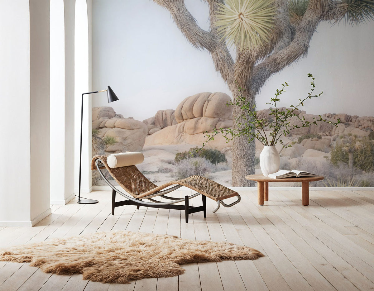 Joshua Tree Study I Mural Wallpaper - room preview 03