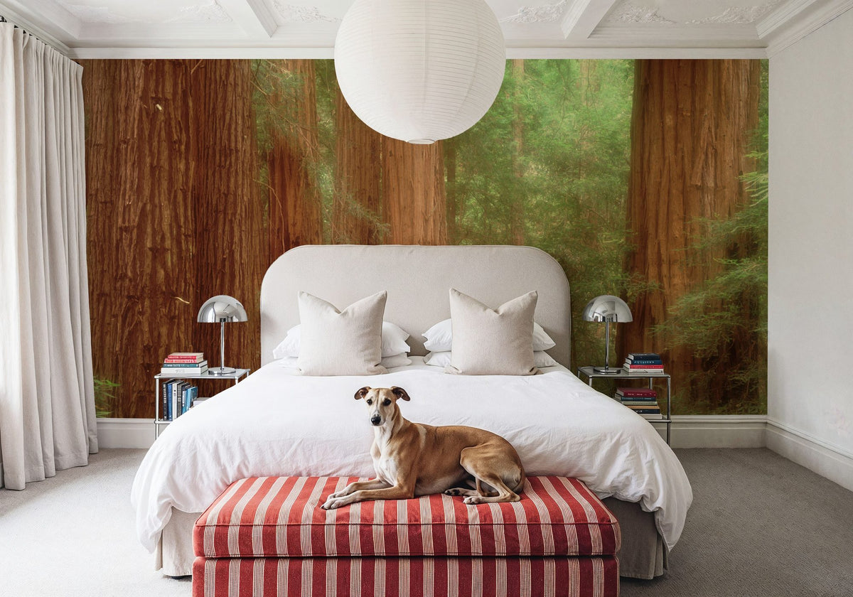 Majestic Redwoods Mural Wallpaper - room preview 03