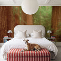 Majestic Redwoods Mural Wallpaper - room preview 03