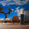 Joshua Tree Blue III Mural Wallpaper - room preview 03