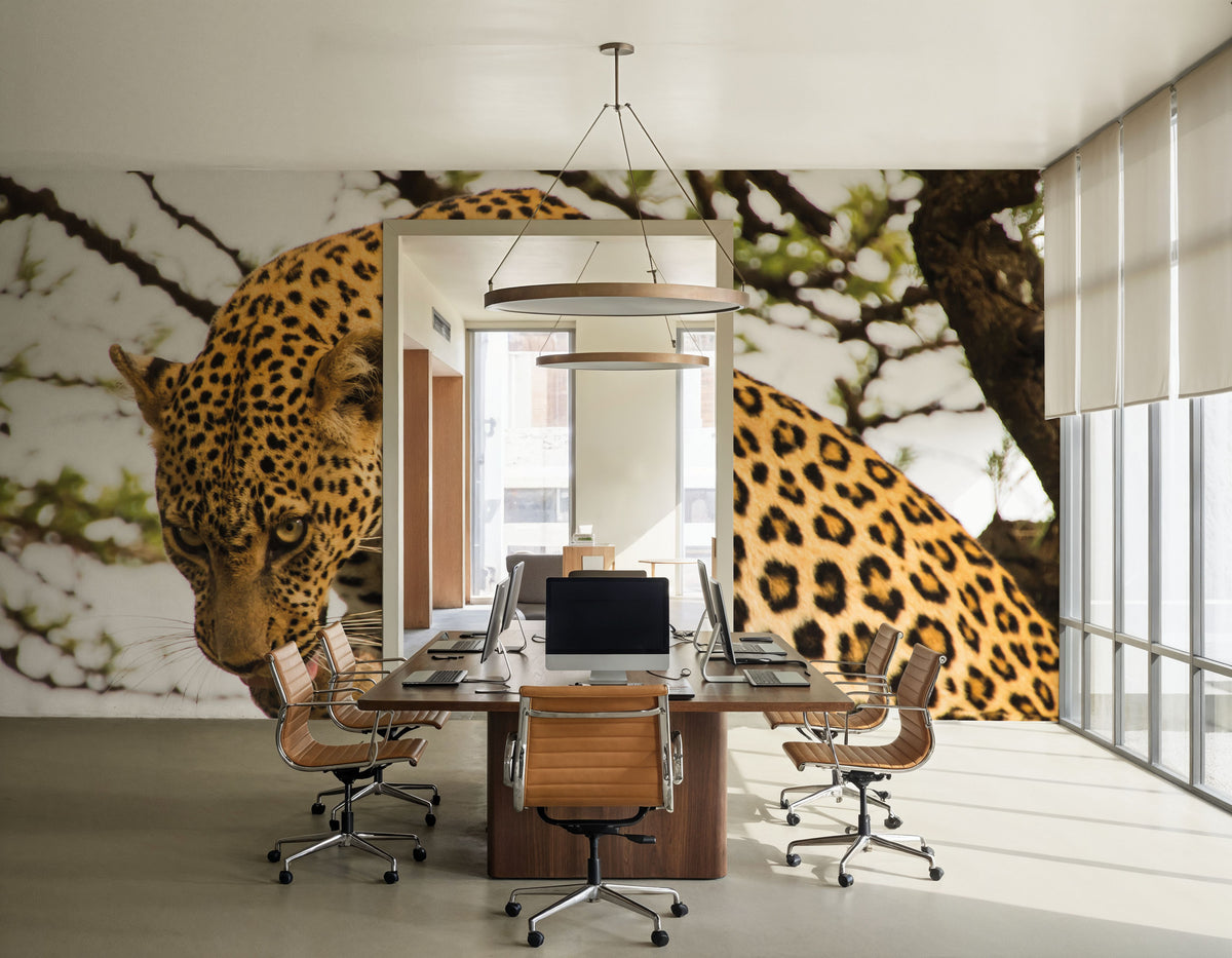 Leopard After Lunch Mural Wallpaper - room preview 03