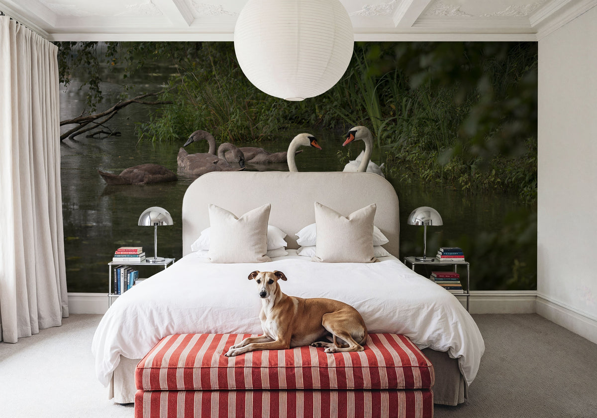 Swans Family Mural Wallpaper - room preview 03