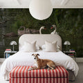 Swans Family Mural Wallpaper - room preview 03