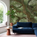 Angel Oak Tree Mural Wallpaper - room preview 03