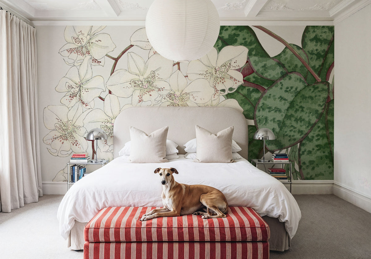 Tanigami Moth Orchid Mural Wallpaper - room preview 03