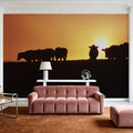 Hillside Cattle Sunset Mural Wallpaper - room preview 03