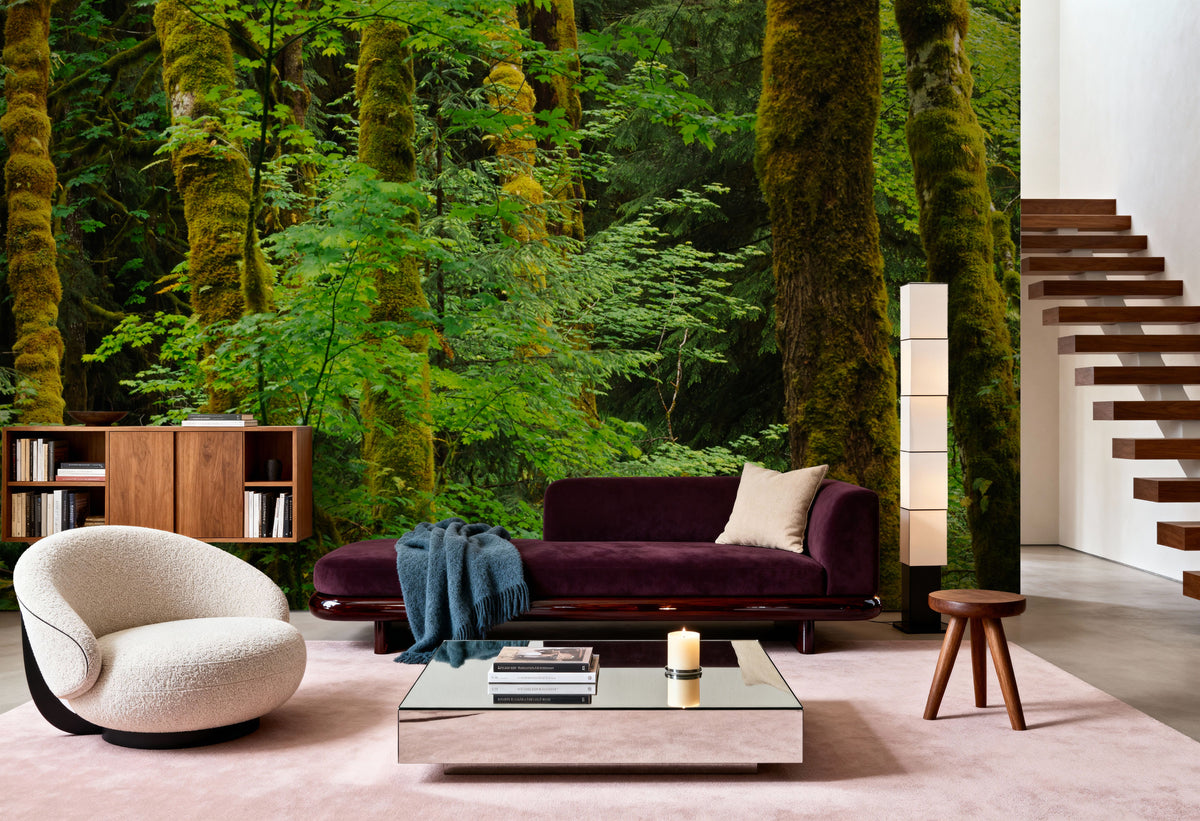 Evergreen Trees Mural Wallpaper - room preview 03