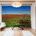 Crimson Poppy Field Mural Wallpaper - room preview 03