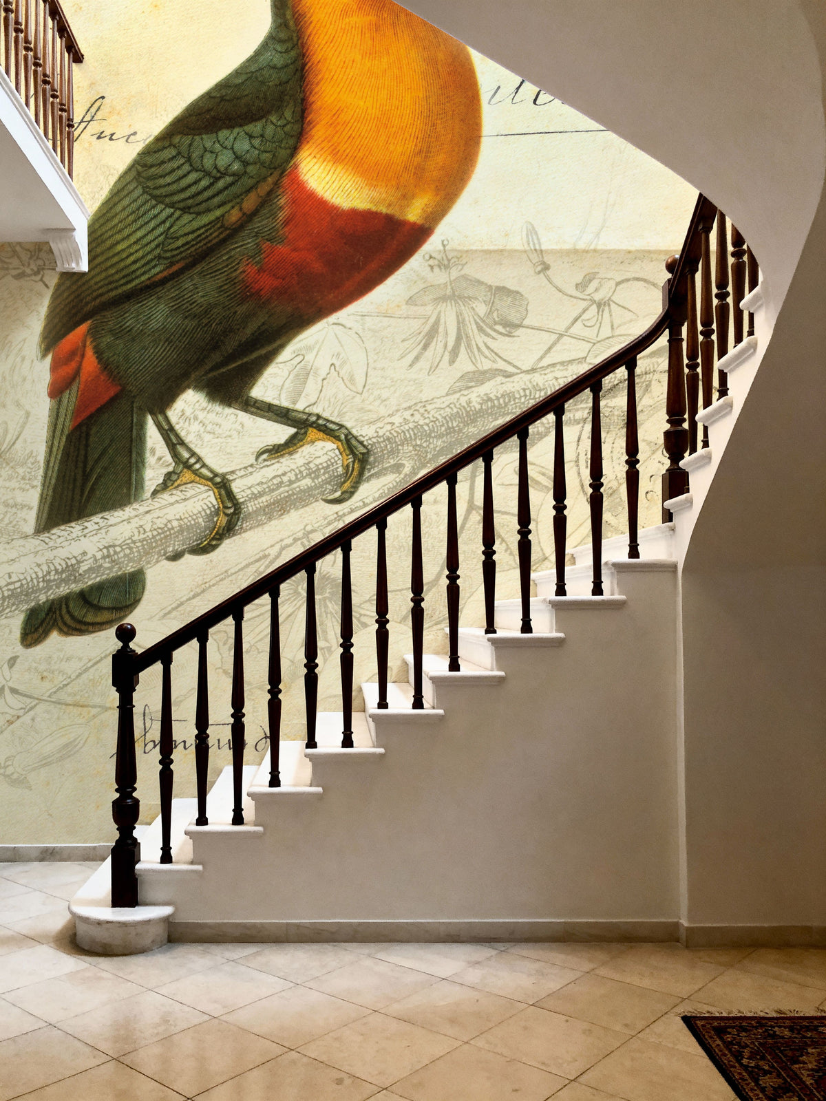 Pretty Bird I Mural Wallpaper - room preview 03