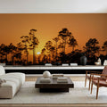 Forest Twilight Glow Mural Wallpaper - room preview 03