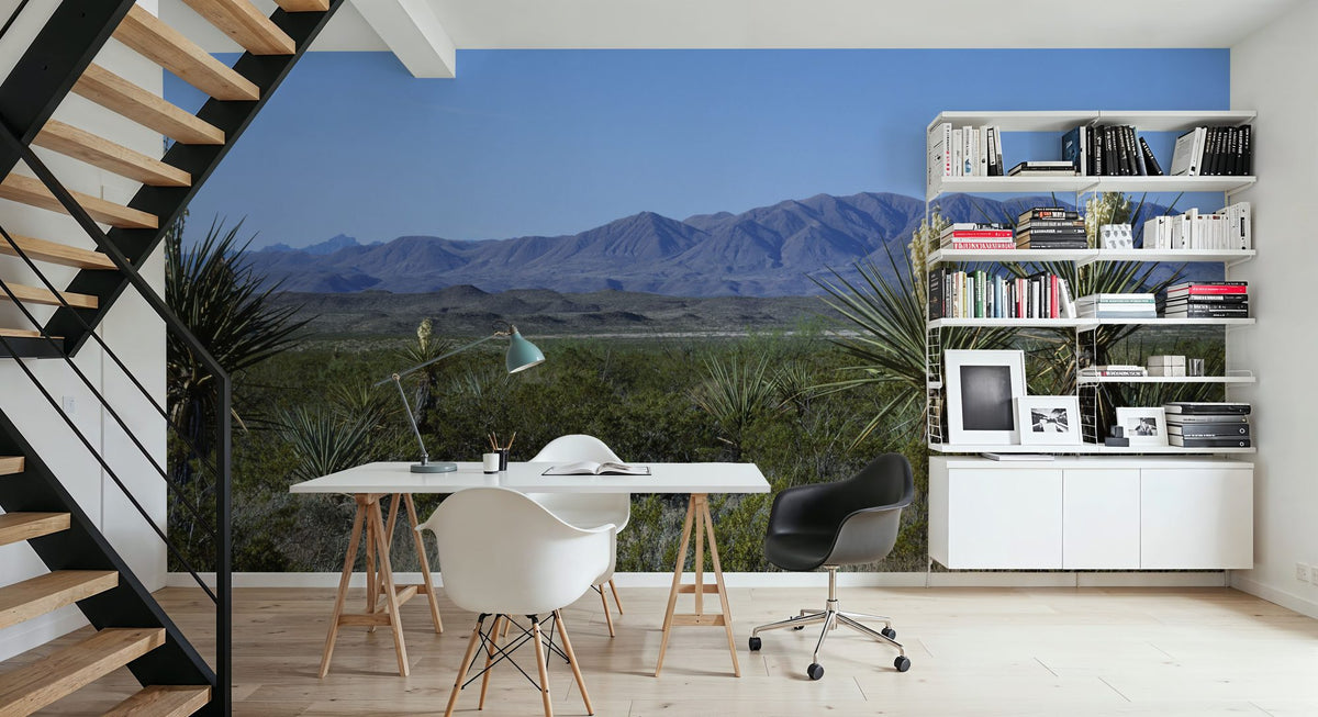 Desert Yucca Vista Mural Wallpaper - room preview 03