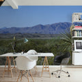 Desert Yucca Vista Mural Wallpaper - room preview 03