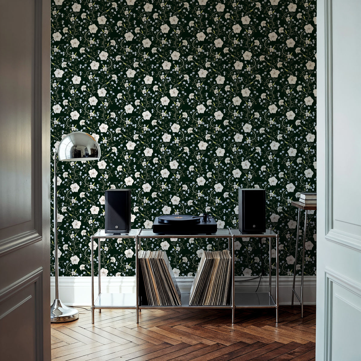 Trailing Morning Glory, Dark Green Mural Wallpaper - room preview 03