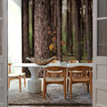 Dark Pine Forest Mural Wallpaper - room preview 03