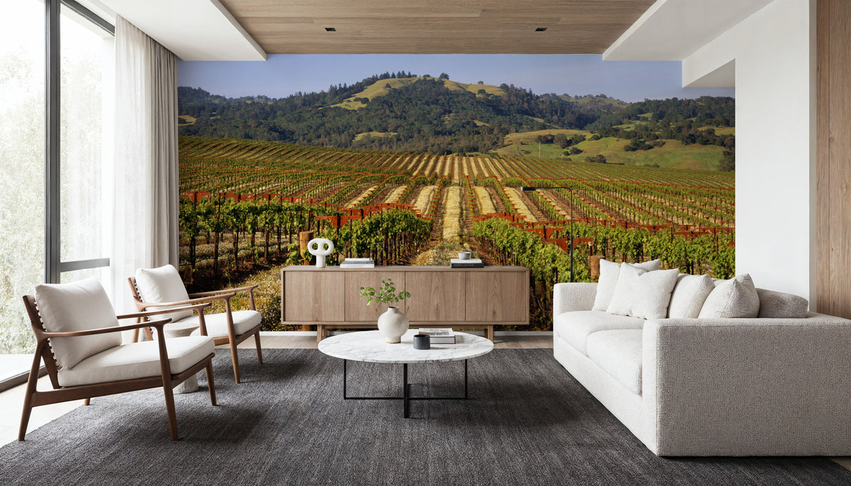 Vineyard Dreams Mural Wallpaper - room preview 03