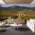 Vineyard Dreams Mural Wallpaper - room preview 03
