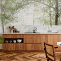 Young Forest Sunbath Mural Wallpaper - room preview 03