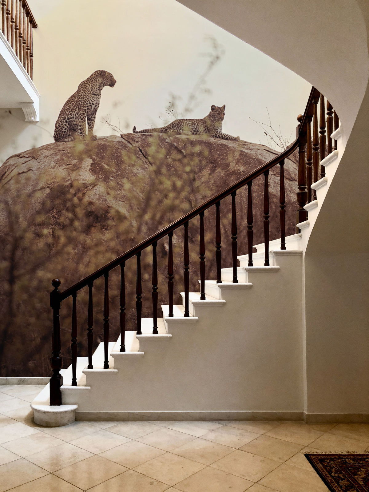 Leopard and Cub Mural Wallpaper - room preview 03