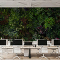 Botanical Eco Herbs Mural Wallpaper - room preview 03