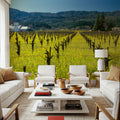 Vineyard Symmetry Mural Wallpaper - room preview 03