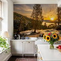 Snow Melting At Lake Tahoe Mural Wallpaper - room preview 03
