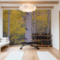 Golden Birch Forest Mural Wallpaper - room preview 03