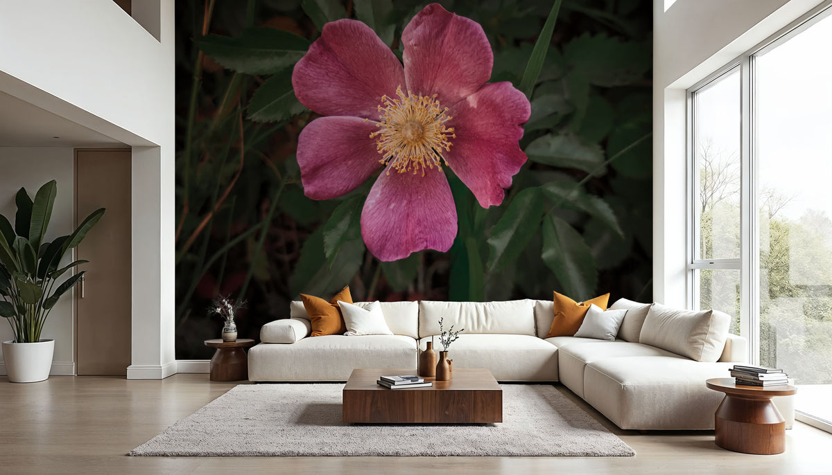 Wild Rose IV Mural Wallpaper - room preview 03