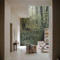 Moss Everywhere Mural Wallpaper - room preview 03