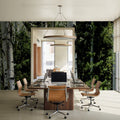 Luminous Birch Mural Wallpaper - room preview 03