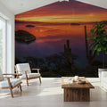 Cardon Cactus Sunset Mural Wallpaper - room preview 03