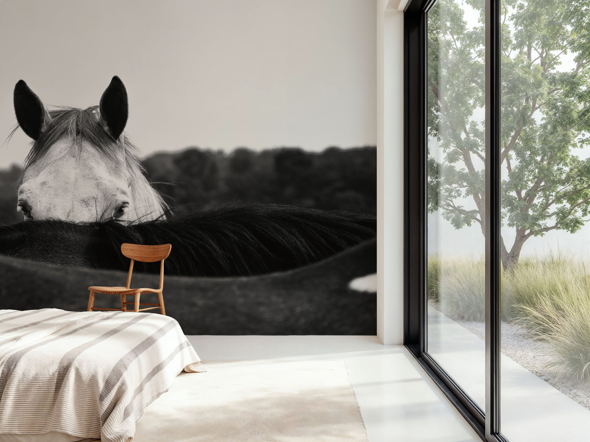 Hello There Mural Wallpaper - room preview 03