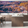 Sunrise Point of Bryce Canyon Mural Wallpaper - room preview 03