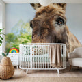 Donkey Pasture Mural Wallpaper - room preview 03