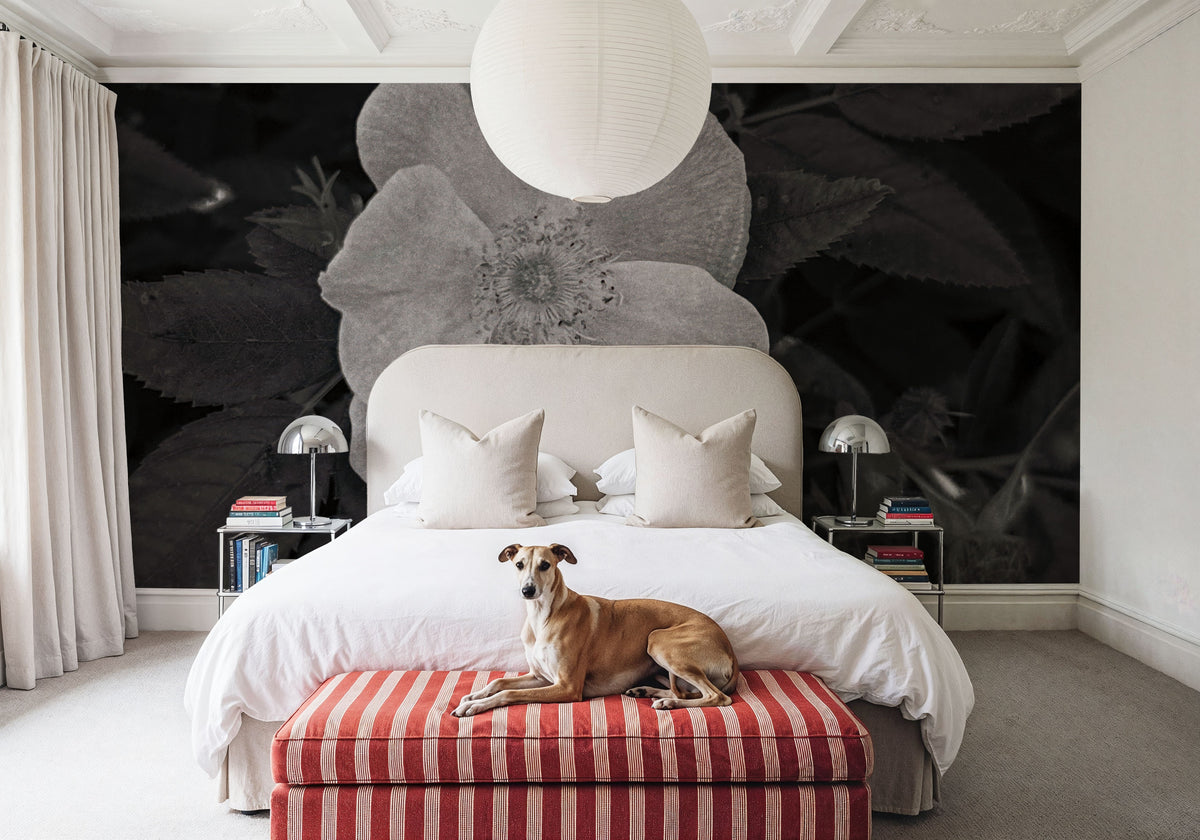 Wild Rose BW II Mural Wallpaper - room preview 03