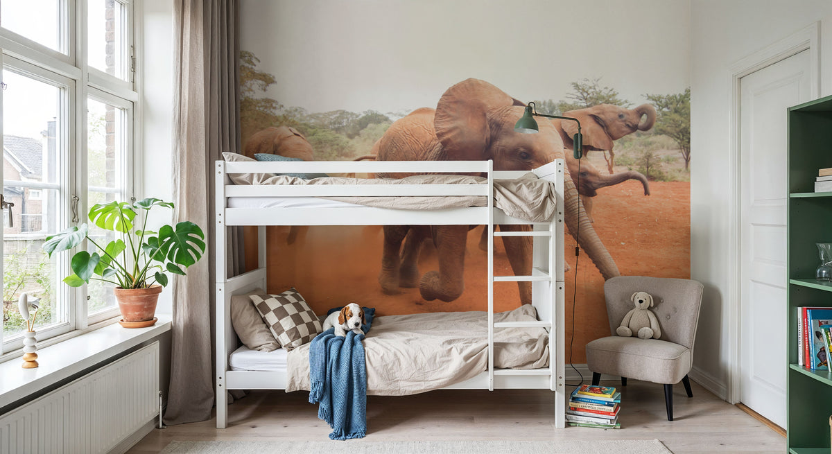 Elephant Race Mural Wallpaper - room preview 03