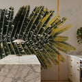 Single Palm Mural Wallpaper - room preview 03