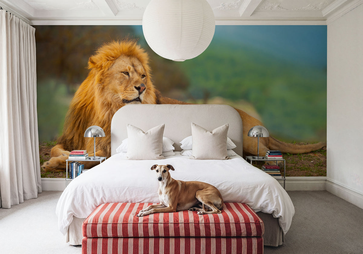 Lion Rest Mural Wallpaper - room preview 03