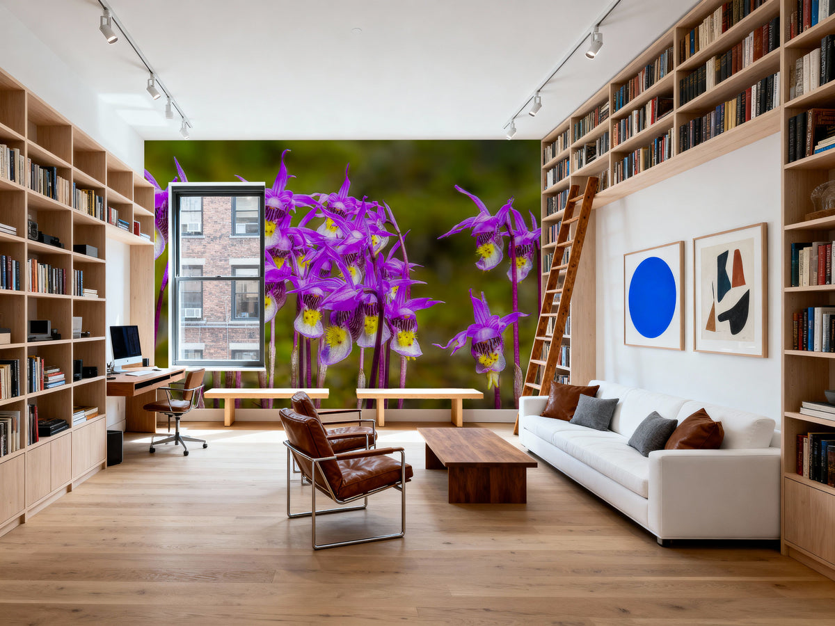 Calypso Bulbosa Bloom Mural Wallpaper - room preview 03