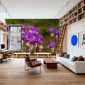 Calypso Bulbosa Bloom Mural Wallpaper - room preview 03